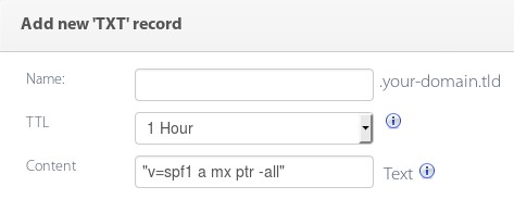 adding spf record for your domain in DNS manager
