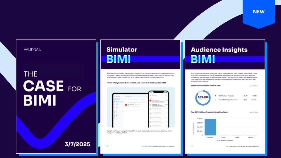 BIMI Simulator Report Mockup